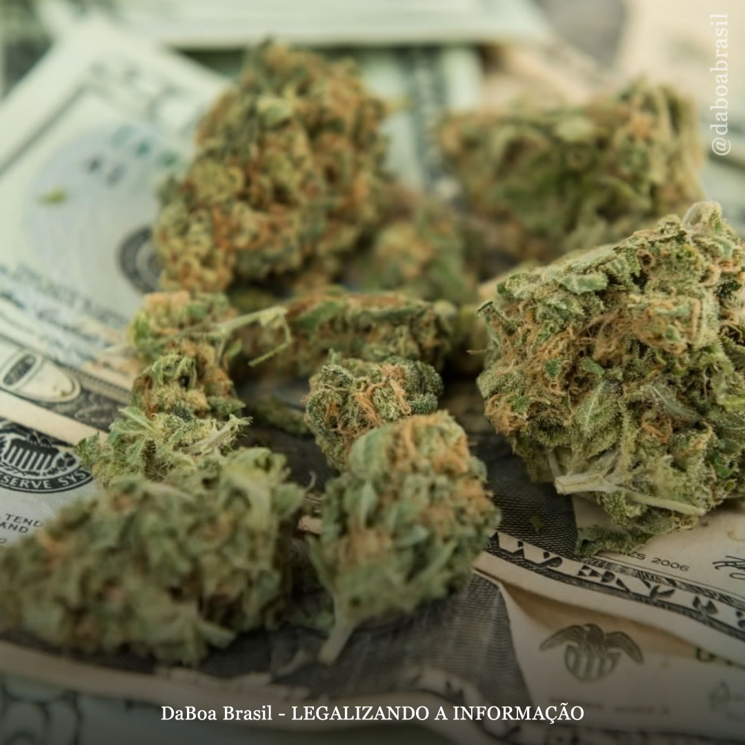 EUA: Illinois, Maine, Michigan e Missouri estabeleceram recordes de vendas de maconha no mês de julho