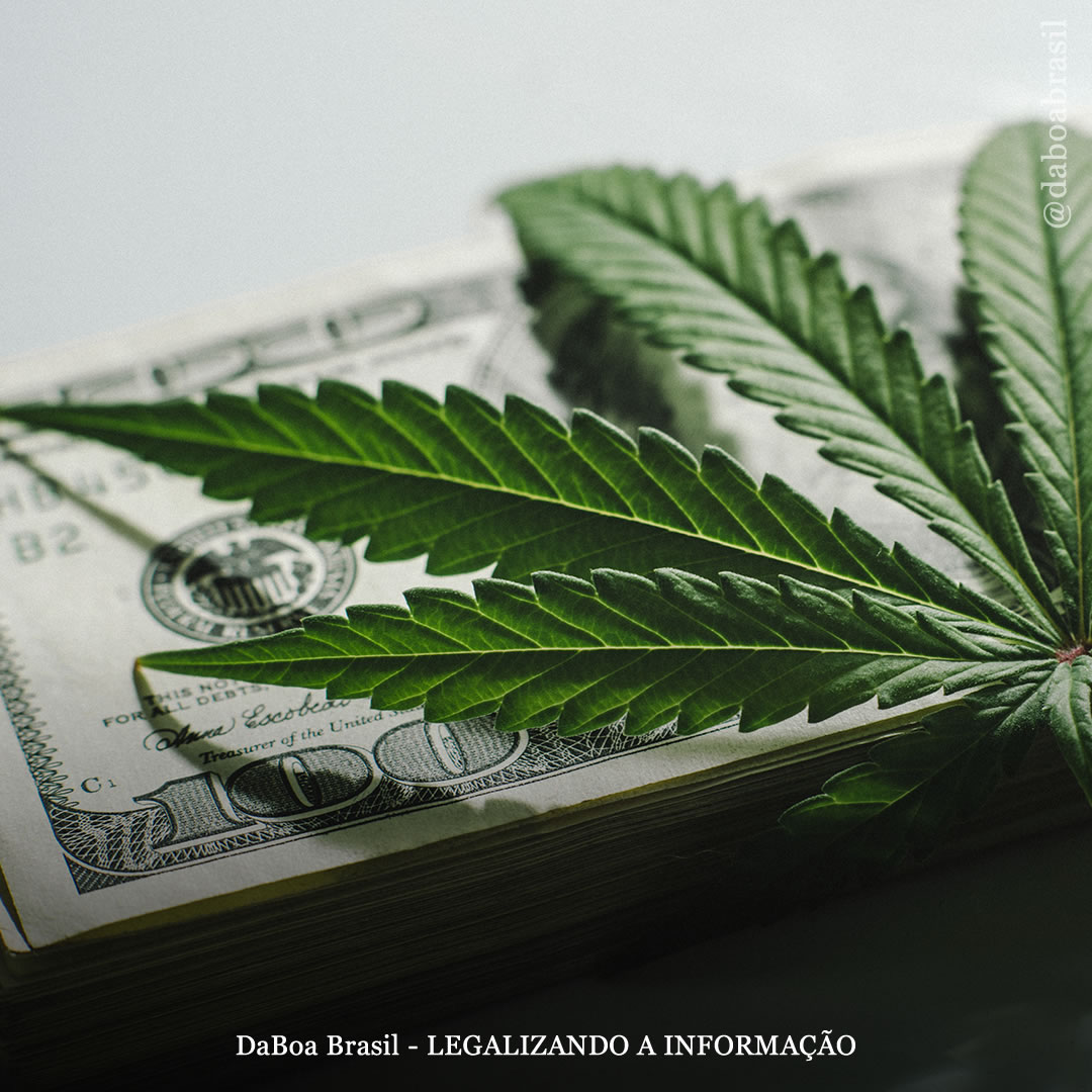 Lollapalooza impulsiona as vendas de maconha em Illinois e faz o estado bater novo recorde