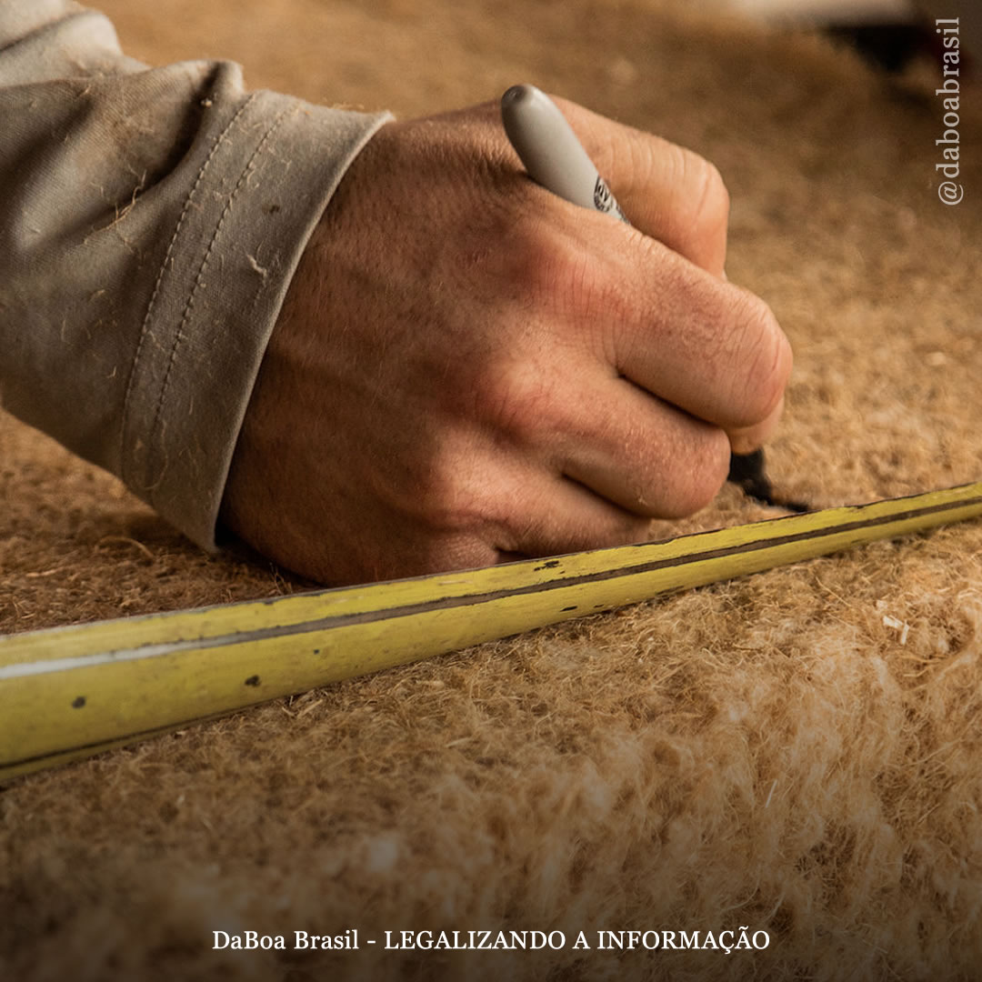 Governo dos EUA investe em empresa de material isolante feito de cânhamo