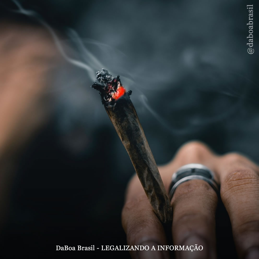 Novas evidências científicas mostram que a maconha não causa danos cerebrais