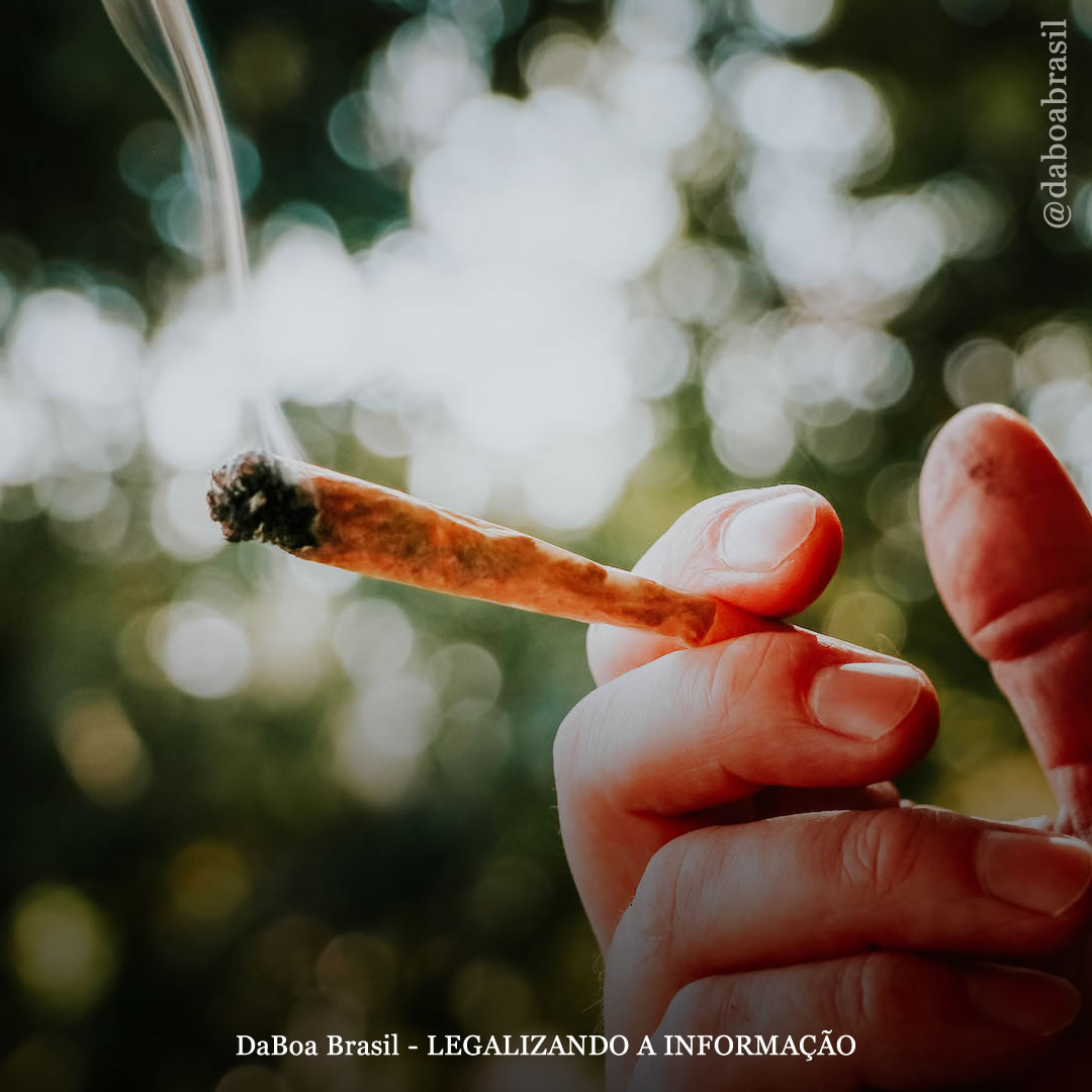 Queimando mitos: a maconha reduz o QI?