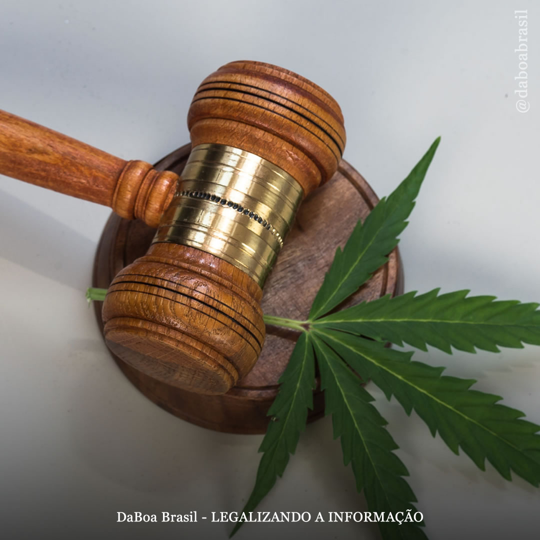 EUA: 150 atletas, políticos e artistas famosos pedem a Biden a liberdade dos presos por maconha no país