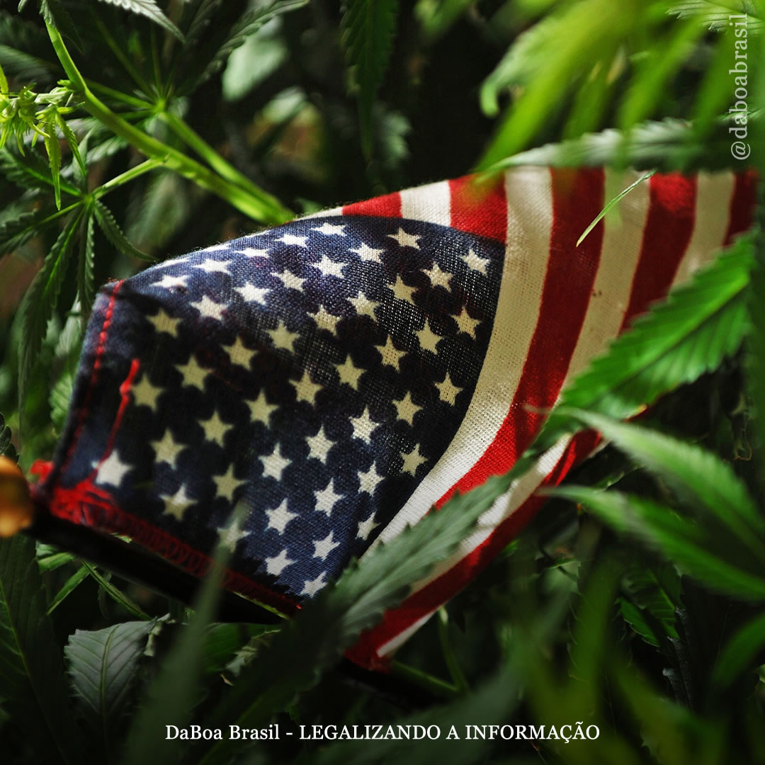 EUA: projeto de legalização federal da maconha é aprovado pelo comitê principal da Câmara