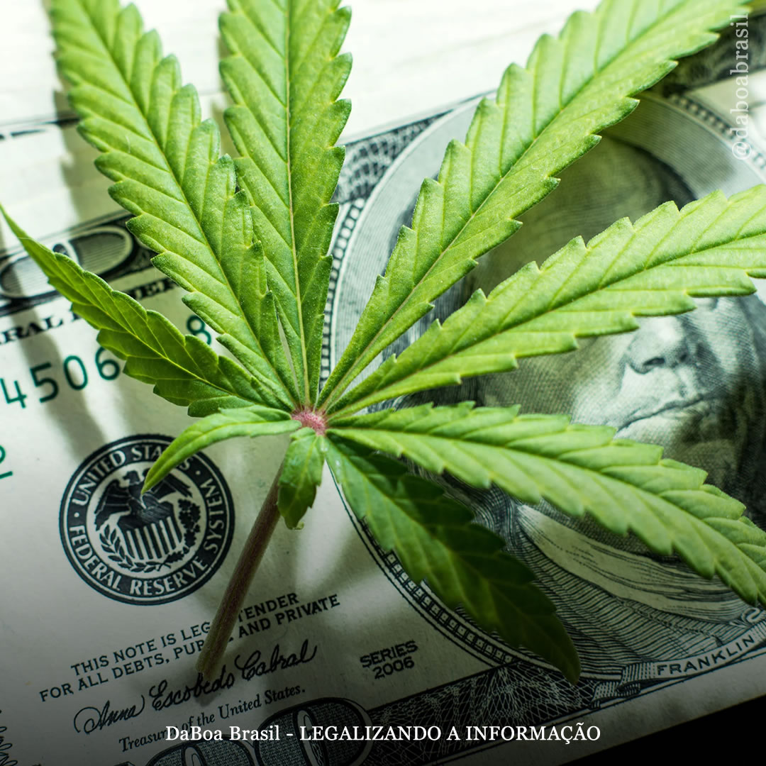 EUA: vendas legais de maconha em Massachusetts ultrapassam US $ 2 bilhões