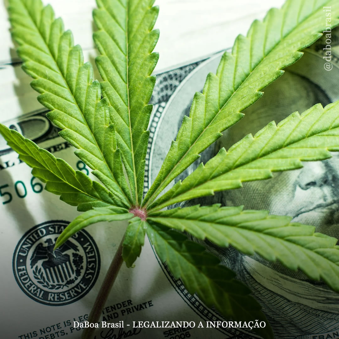 Califórnia oferece US $ 100 milhões para apoiar empresas canábicas e programas de equidade social