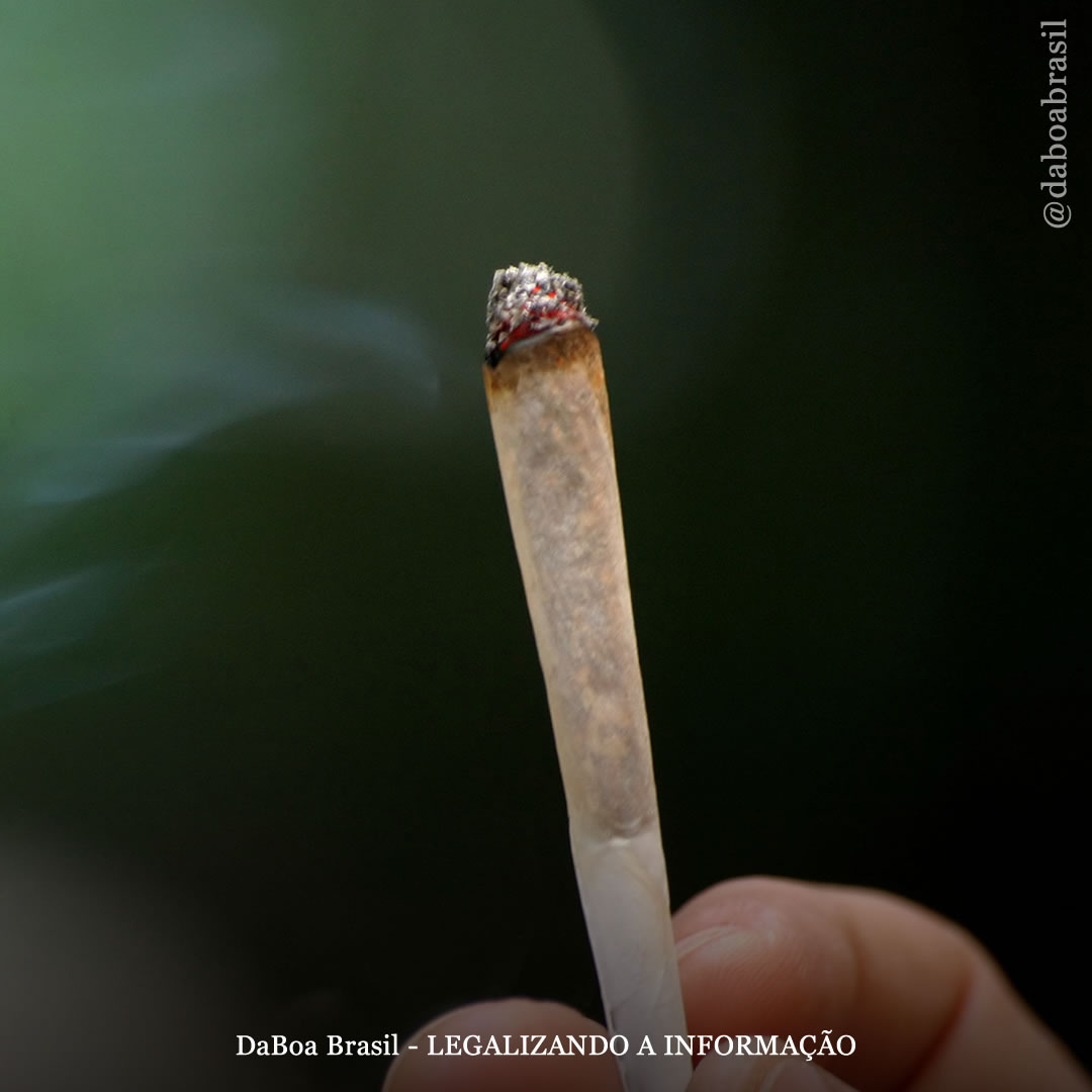 Redução de Danos: como conversar com seus pais (ou filhos) sobre a maconha