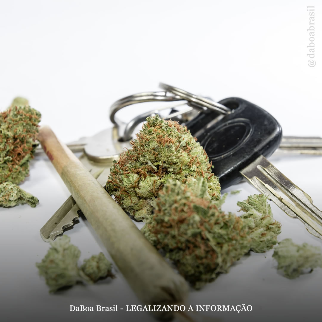 Canadá: legalização da maconha não resultou em aumento de acidentes de trânsito, diz estudo