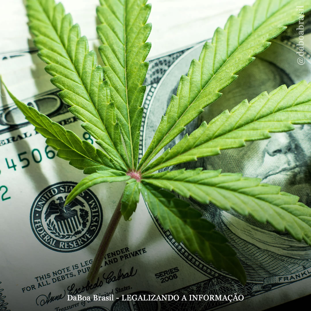 EUA: Illinois vendeu mais de US $ 1 bilhão em maconha legal este ano