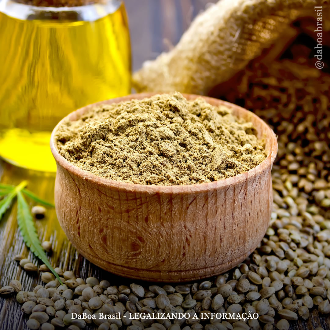 Por que a farinha de cânhamo é melhor do que a farinha branca?