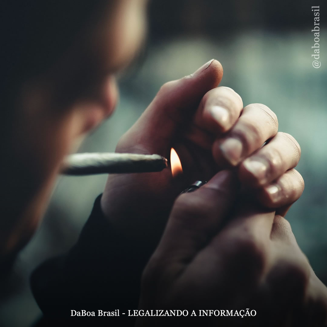 Redução de Danos: o efeito da maconha na memória