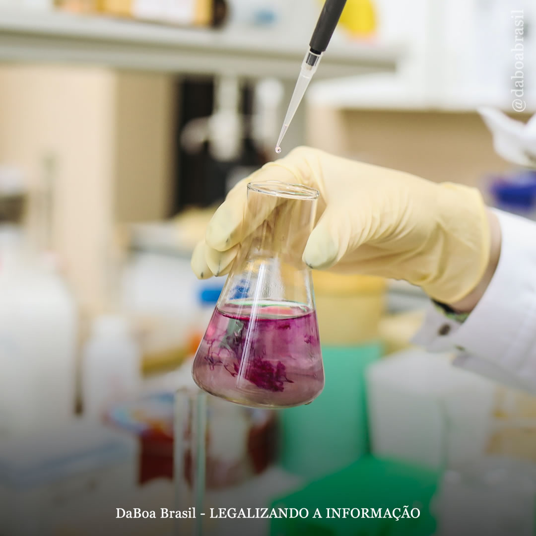 Nova Zelândia legaliza serviços de teste de drogas como medida de redução de danos