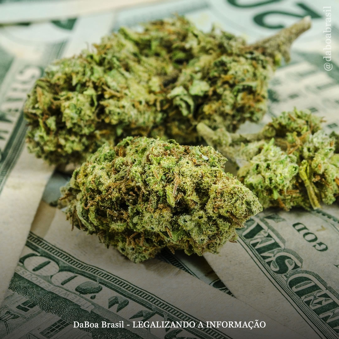 EUA: A receita tributária da maconha em Massachusetts agora excede o álcool em milhões
