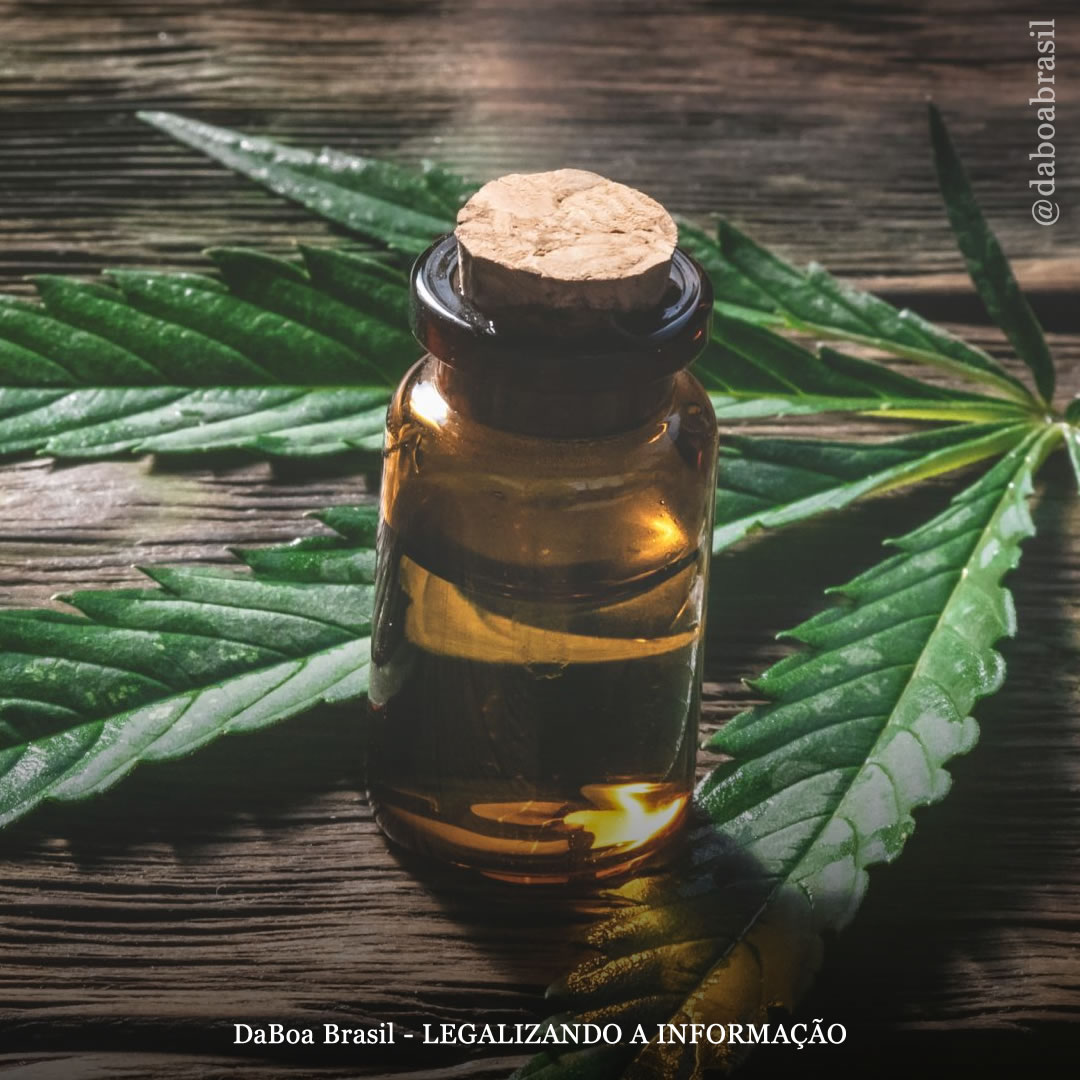 Óleo de THC melhora significativamente os sintomas do autismo, de acordo com estudo