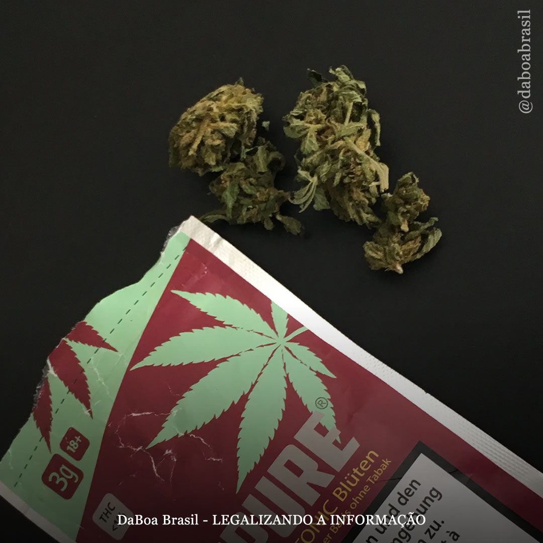 Suíça: Análise encontra canabinoides sintéticos em metade das marcas de “cannabis light”