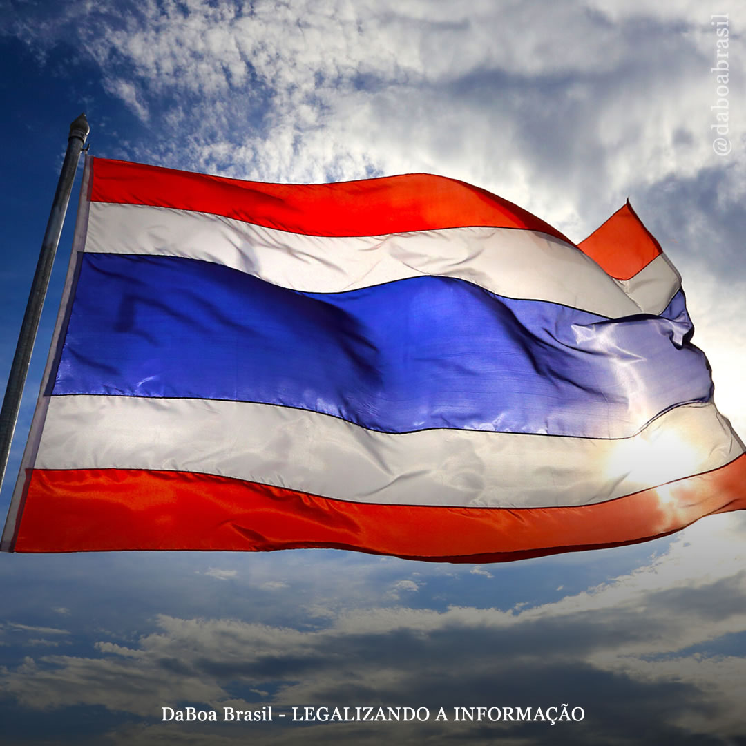 Tailândia: Governo retira a maconha da lista de substâncias proibidas e já está pensando em modelos de regulamentação para uso adulto