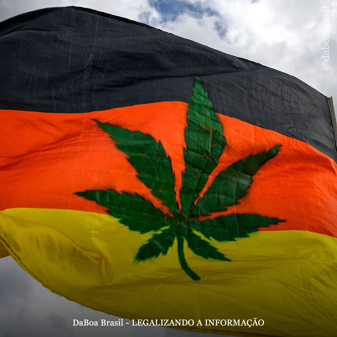 Alemanha: mais detalhes da futura legalização da maconha no país