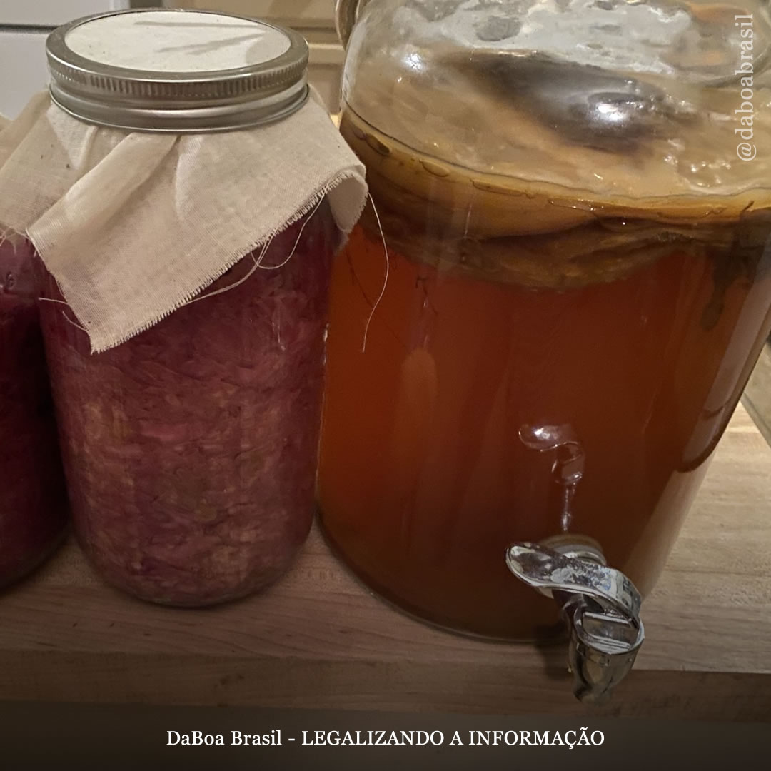 Dicas de cultivo: Como cultivar maconha utilizando a Agricultura Natural Coreana (KNF)