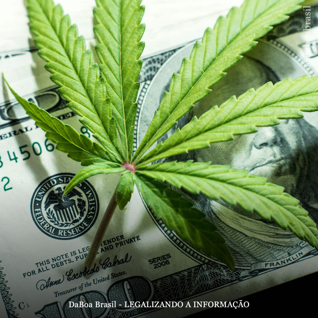 EUA: no primeiro ano de vendas legais, Arizona vendeu US $ 1,2 bilhão em maconha