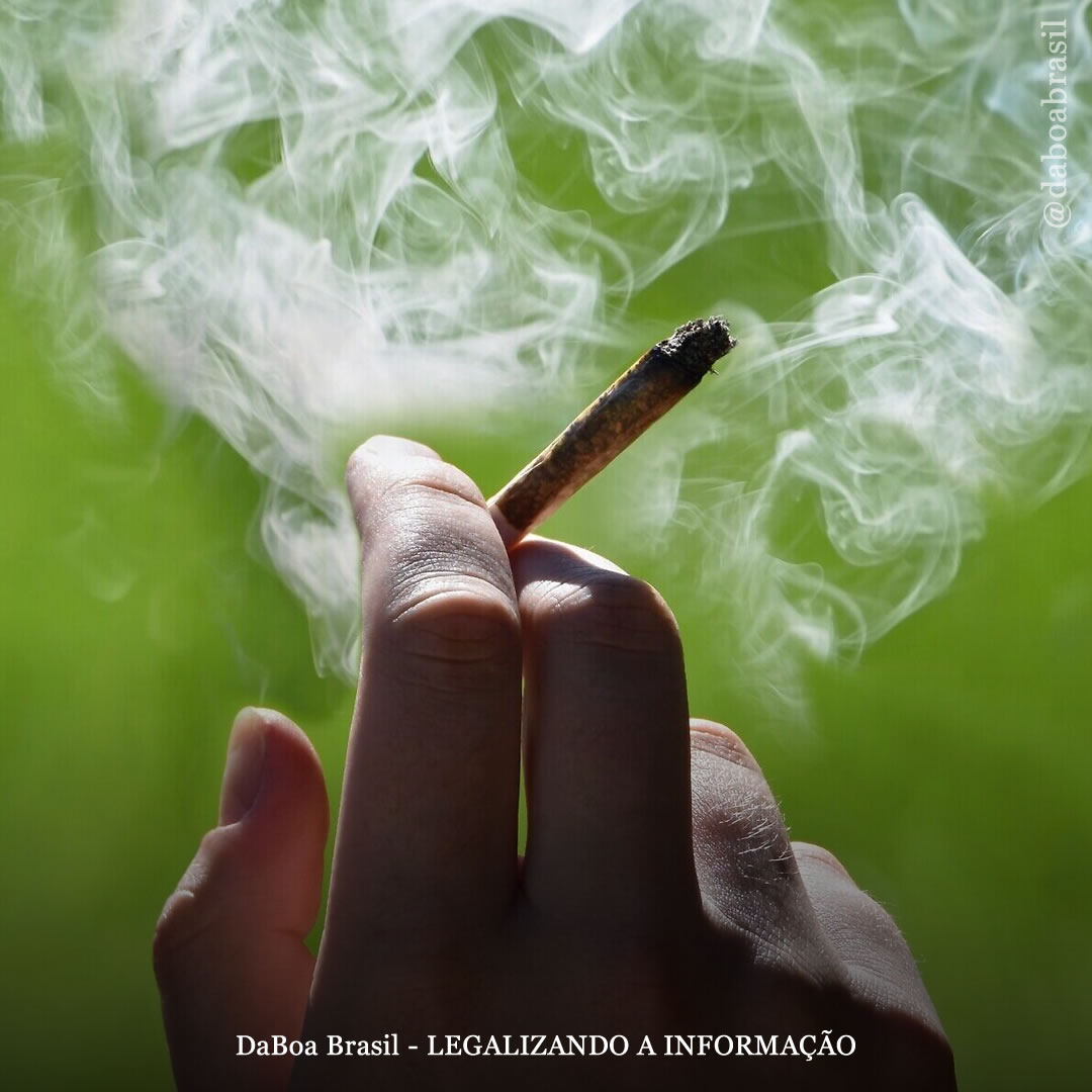 Usuários de maconha tendem a comer mais, embora engordem menos, diz estudo