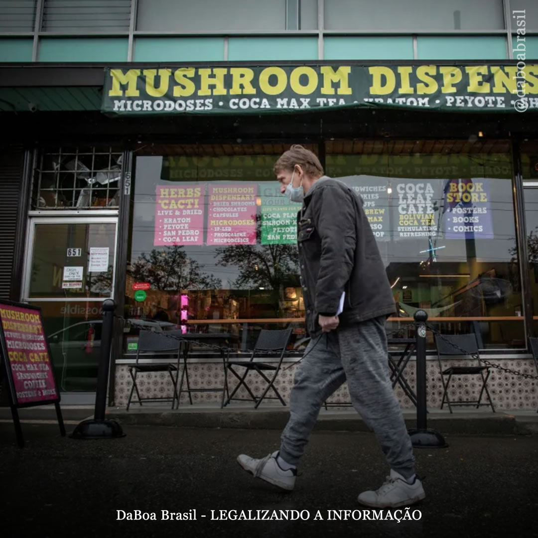 Canadá: dispensários de cogumelos mágicos surgem em Vancouver