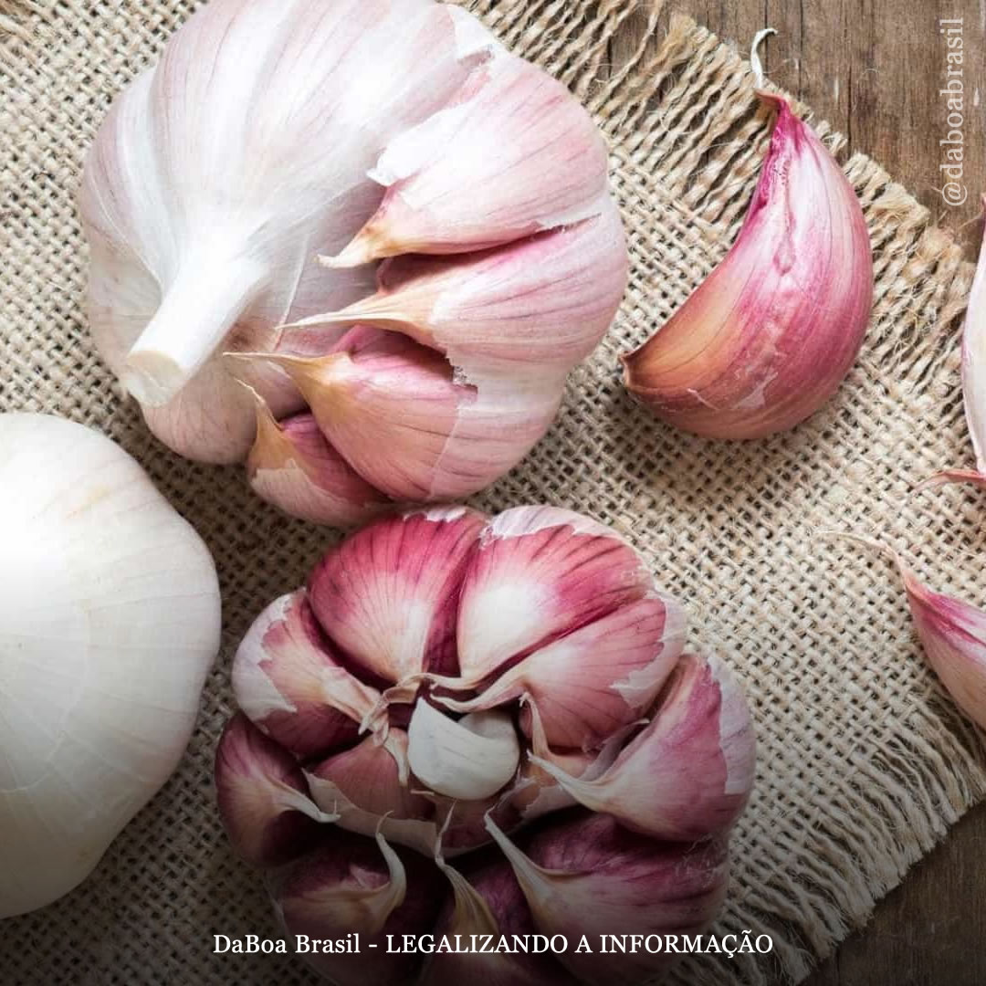 Dicas de cultivo: o uso do alho como repelente de pragas e insetos e como controle de doenças criptogâmicas