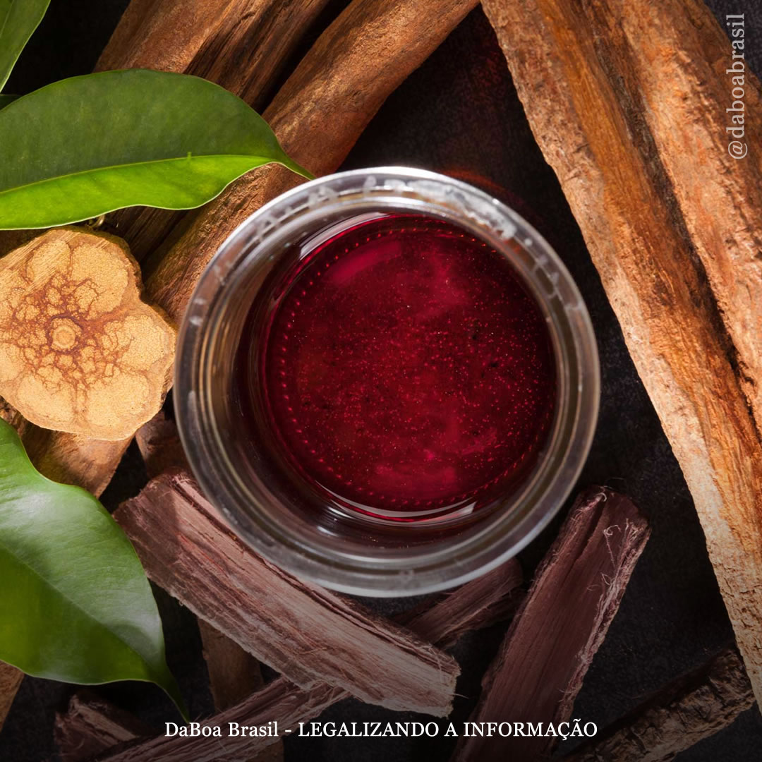 Espanha: estudo busca voluntários para investigar o efeito da ayahuasca combinada com psicoterapia no luto prolongado