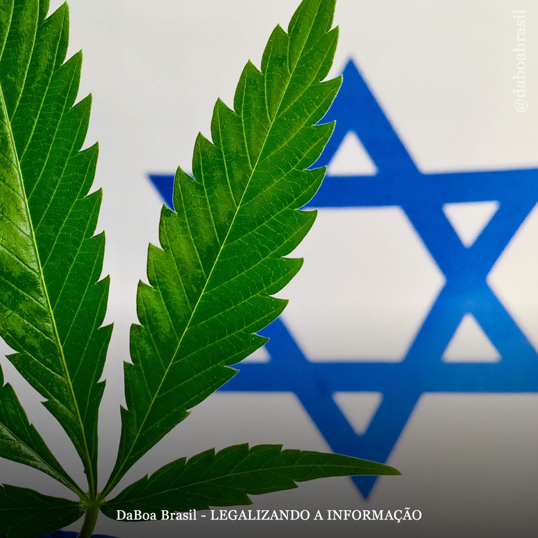 Israel descriminaliza o porte de maconha e permitirá que registros criminais sejam eliminados