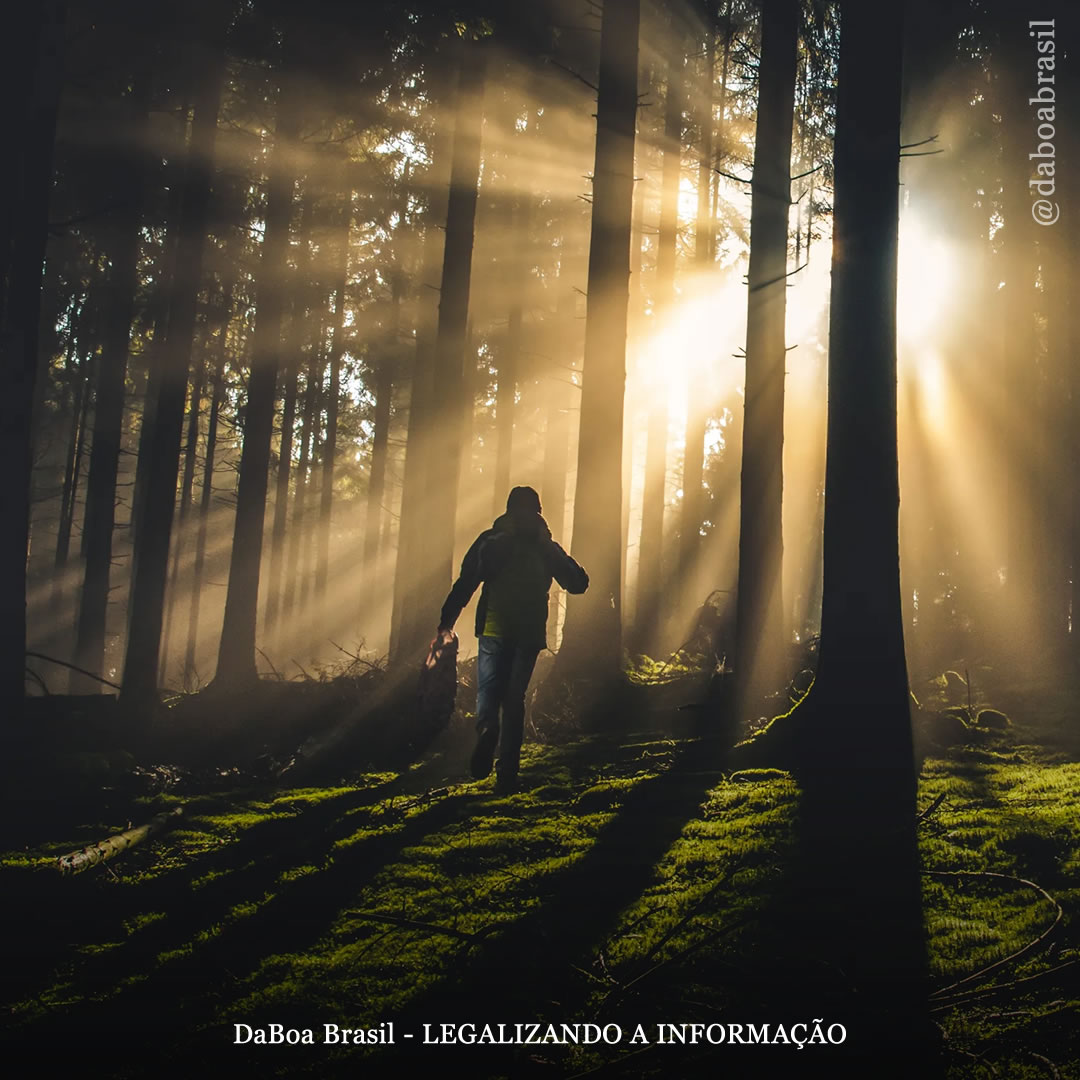 Psicodélicos podem ajudar a tratar pessoas que têm medo de estar ao ar livre, diz estudo