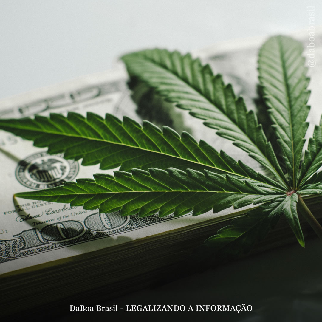 Vendas globais de maconha legal podem chegar a US $ 35 bilhões até o final do ano, preveem analistas