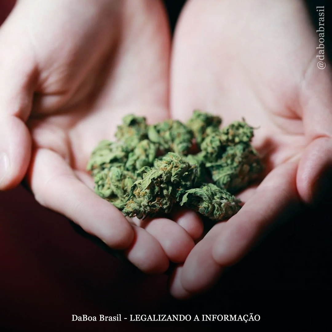 A maconha pode ajudar na síndrome pré-menstrual?