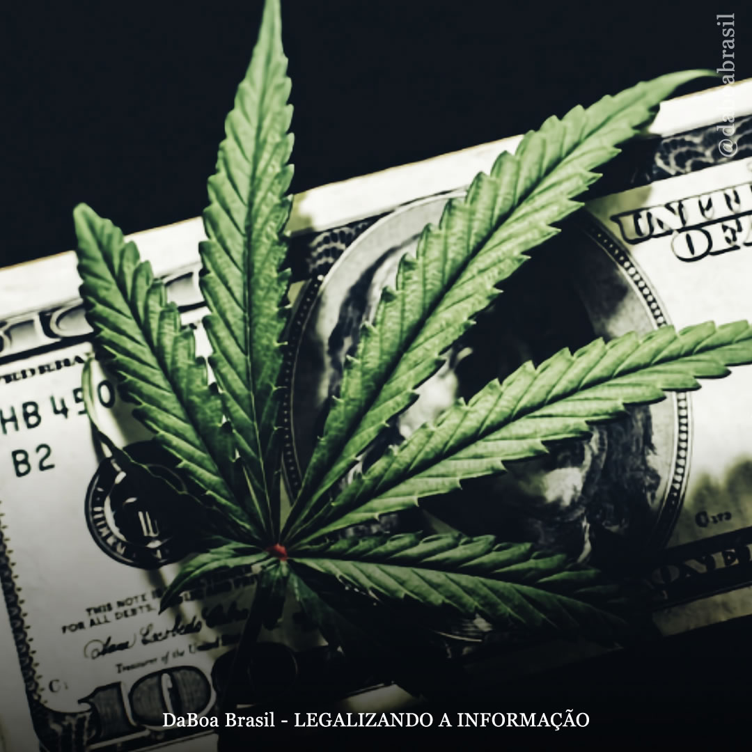 EUA: Arizona arrecadou mais receita tributária da maconha do que álcool e tabaco combinados