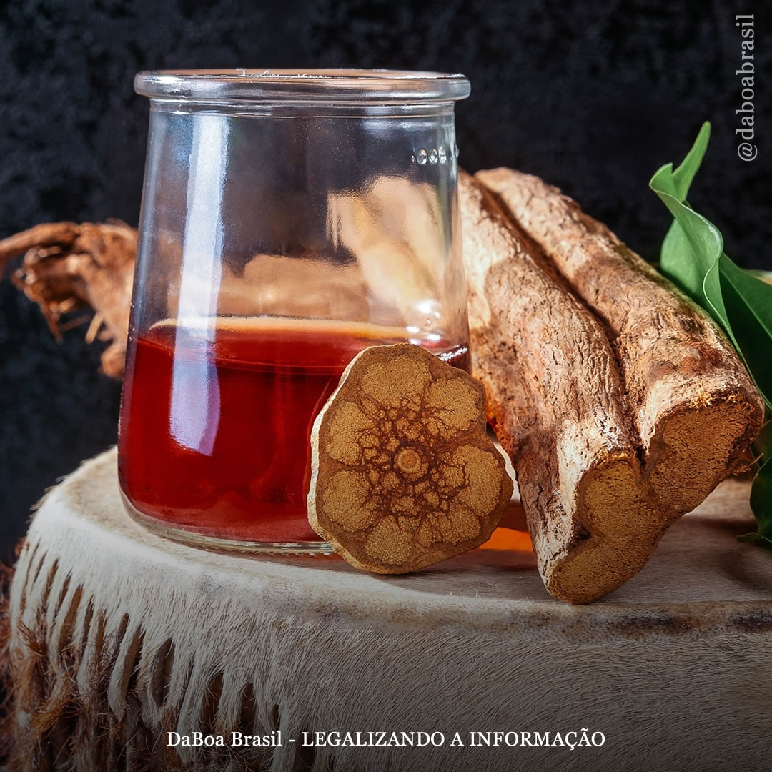 Governo da Itália proíbe a ayahuasca