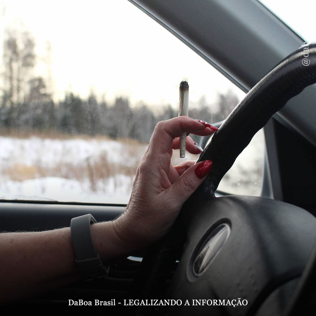 Motoristas em locais legalizados são menos propensos a dirigir sob efeito da maconha, diz estudo