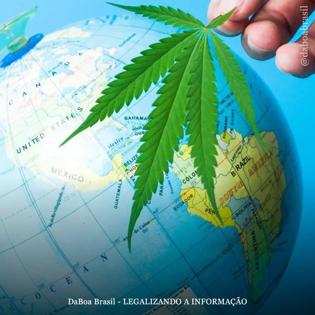 Nenhum acordo internacional proíbe a legalização da maconha, diz relatório