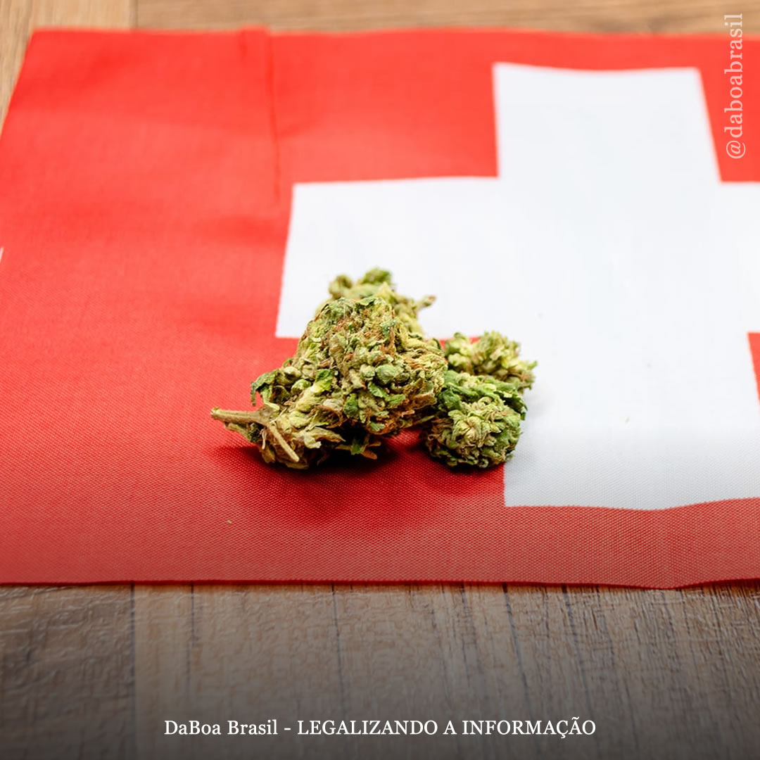 Suíça: Basileia vai vender maconha legal para uso adulto