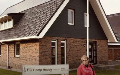 Países Baixos: empresa lança casas pré-fabricadas feitas com cânhamo