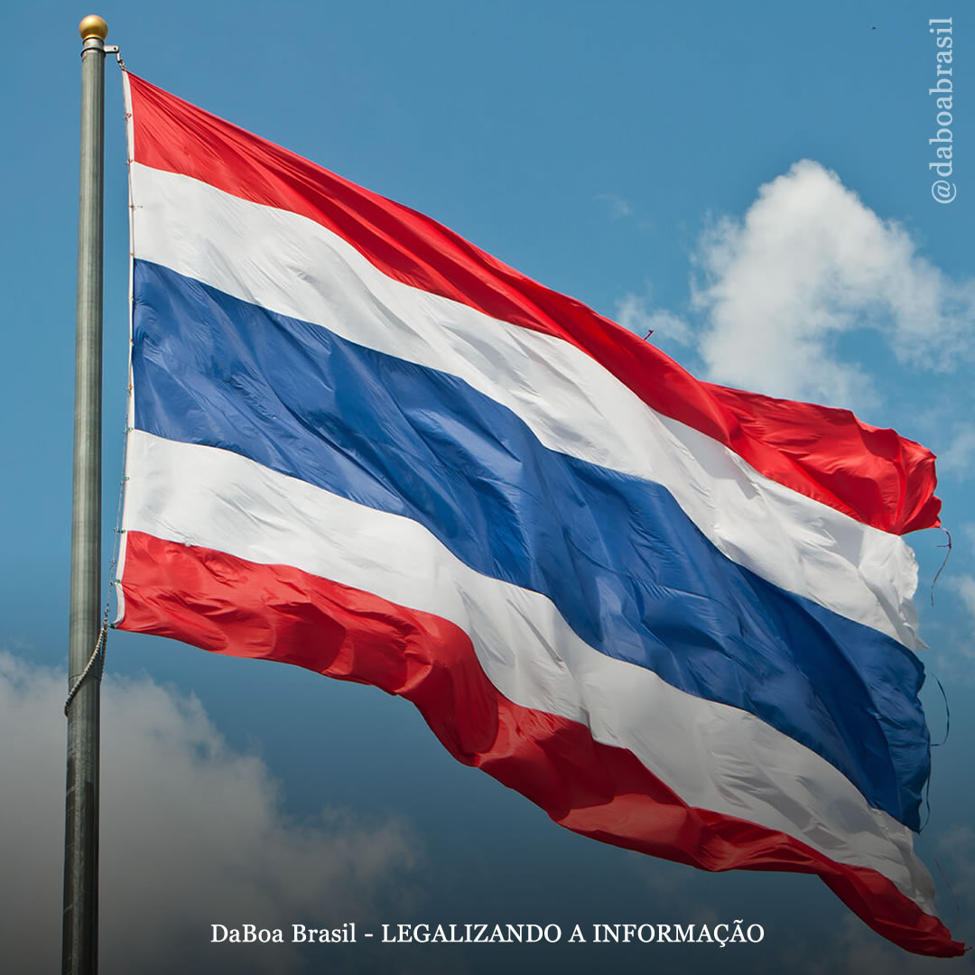 Tailândia: Governo distribuirá um milhão de plantas de maconha