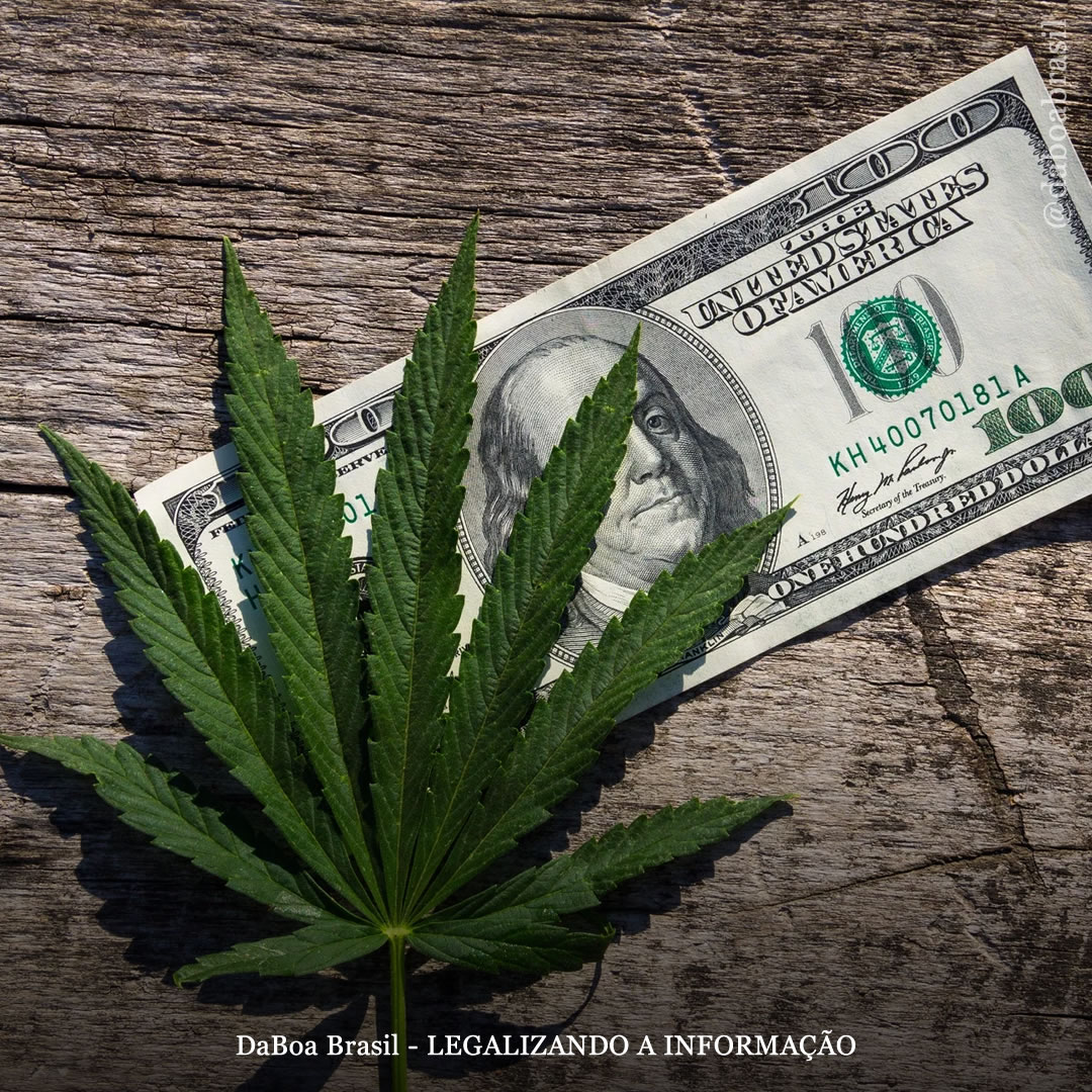 EUA: Califórnia concede US $ 35,5 milhões em subsídios financiados por impostos sobre a maconha para reparar os danos da guerra às drogas