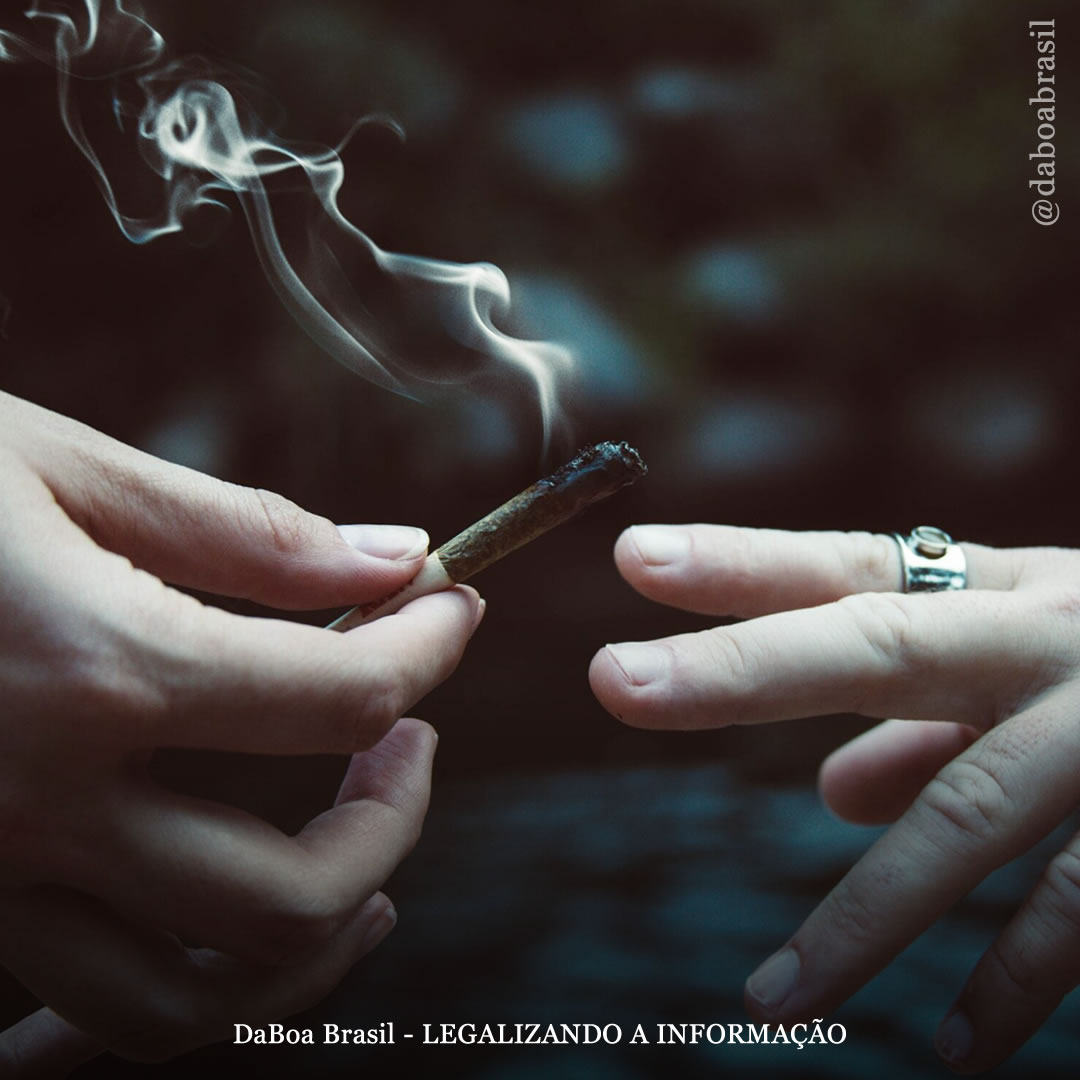 Usuários de maconha são menos propensos a desenvolver câncer de fígado, sugere estudo