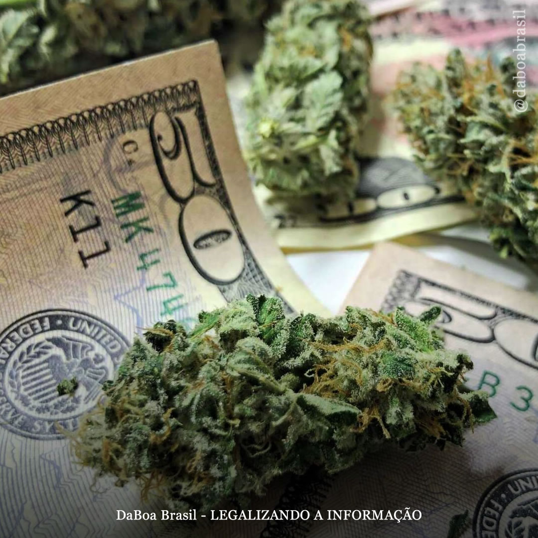 EUA: Arizona vendeu US $ 75,5 milhões em maconha legal em abril com queda nas vendas para uso medicinal