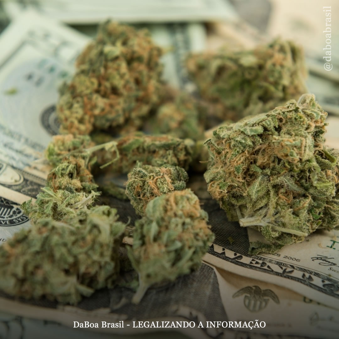 EUA: Califórnia assina projeto de lei de isenção de impostos sobre maconha para combater o mercado ilícito