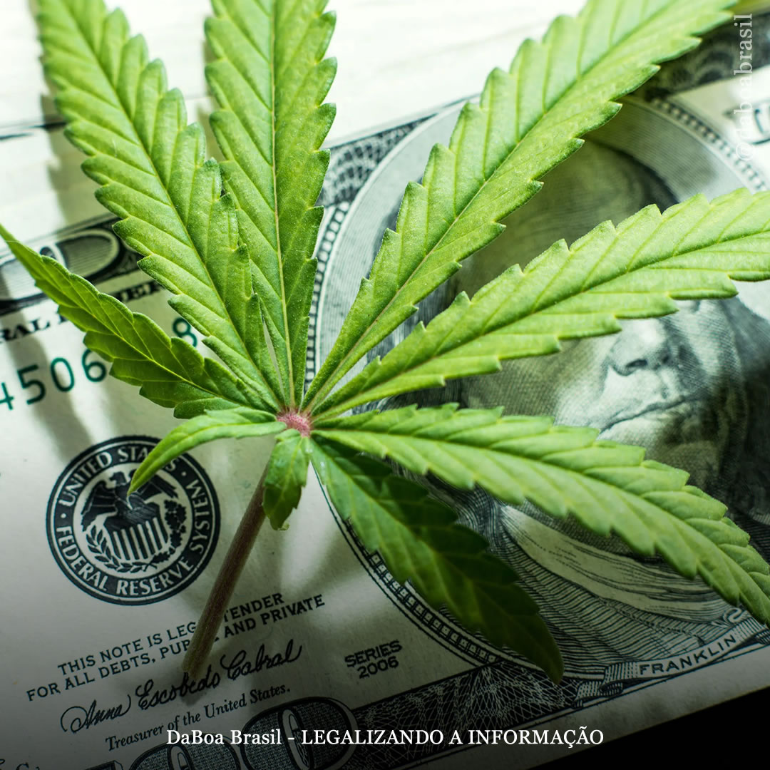 EUA: Illinois vendeu mais de US $ 1,5 bilhão em maconha legal em 2021, um aumento de 50% em relação ao ano anterior
