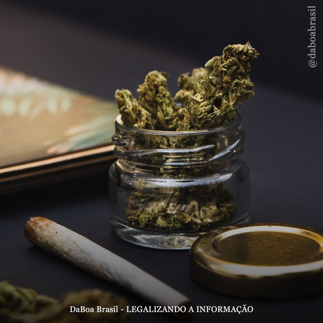 EUA: prefeita de D.C. assina projeto de lei que fornece proteção para usuários de maconha no local de trabalho