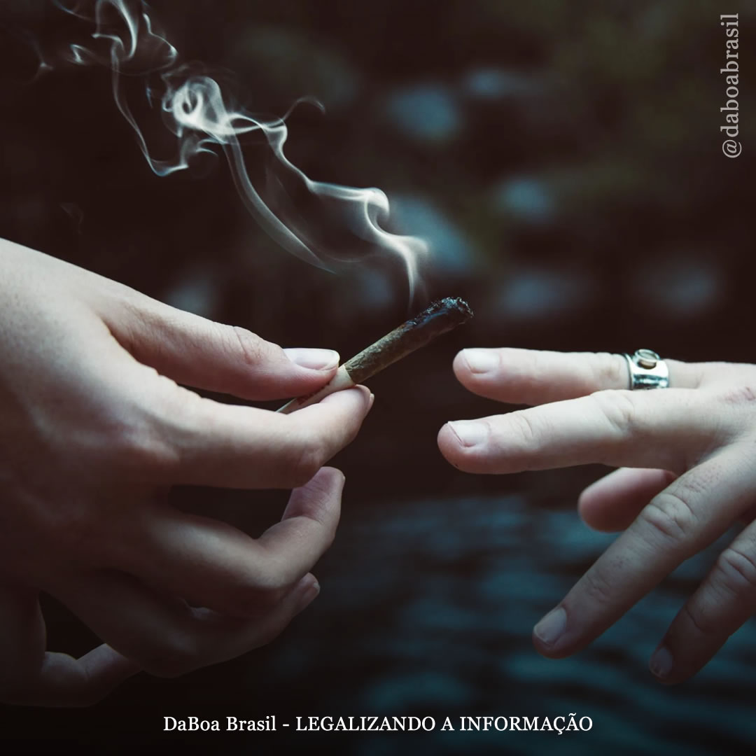 Redução de Danos: é seguro compartilhar baseados?