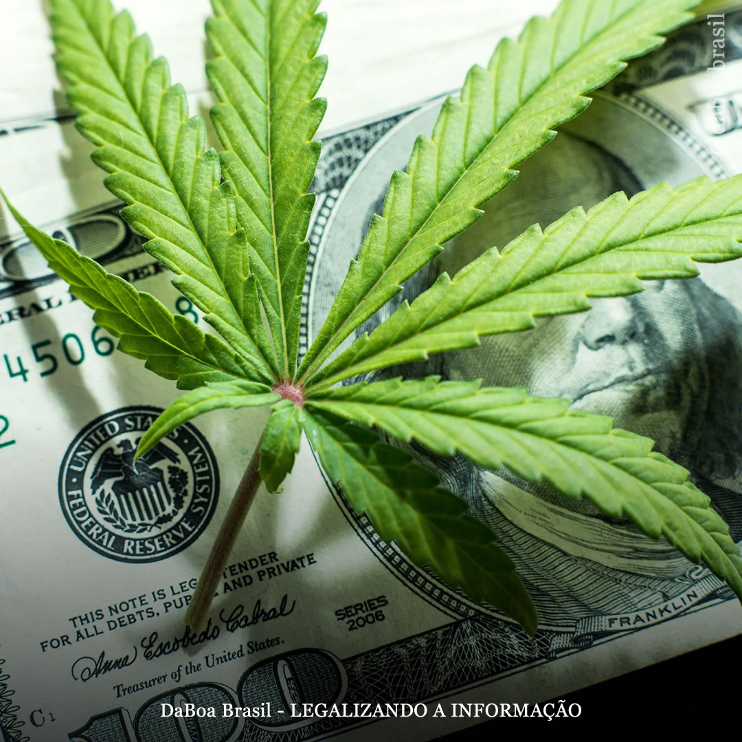 EUA: Michigan vendeu um recorde de US $ 210 milhões em maconha legal no mês passado