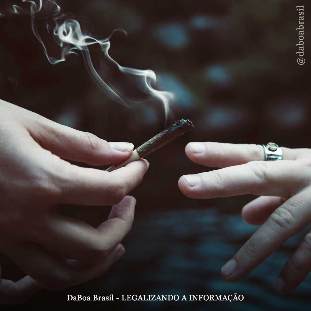 EUA: jovens adultos estão usando mais maconha e psicodélicos, enquanto uso por adolescentes cai