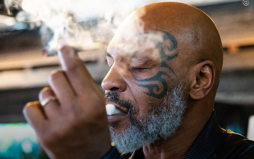 Mike Tyson diz que fica em forma com uma dieta constante de maconha e cogumelos