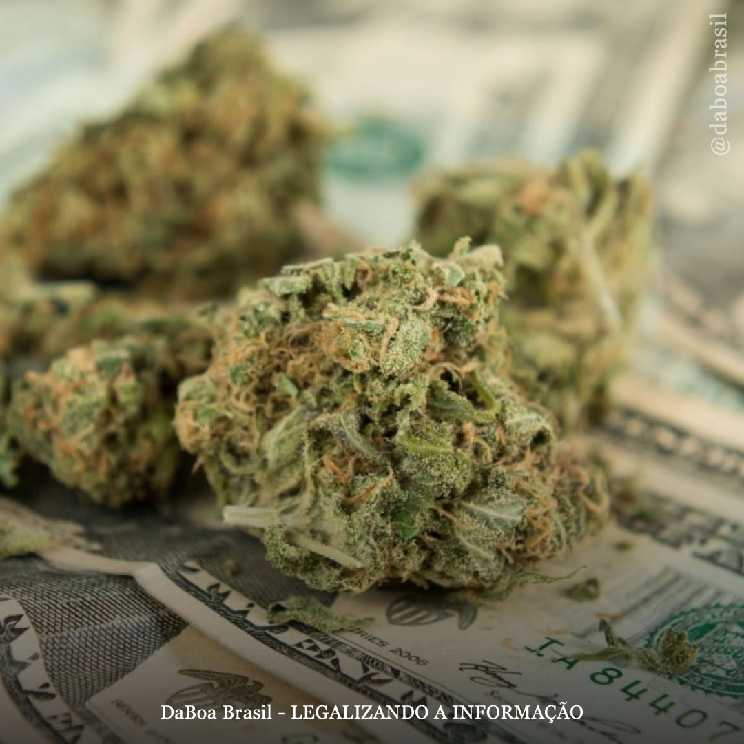 O mercado global da maconha valerá US $ 102,2 bilhões até 2030, diz relatório