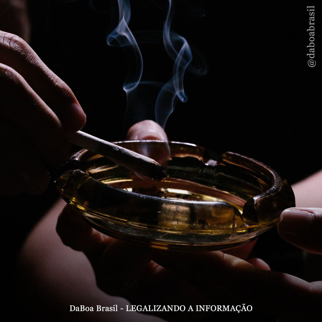 Queimando mitos: 5 estudos bizarros sobre a maconha