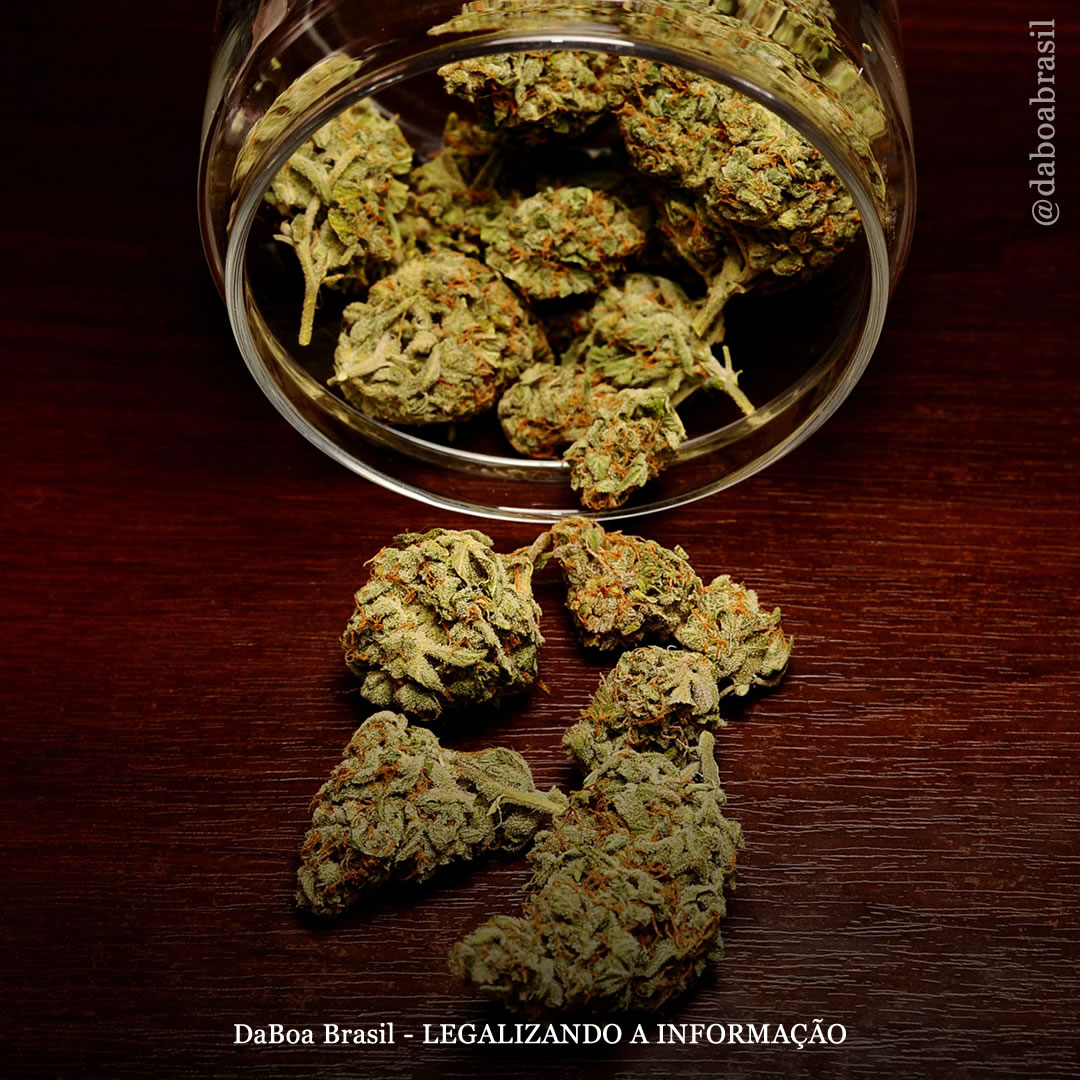 Indústria Farmacêutica sofre bilhões em perdas após estados legalizarem a maconha, diz estudo